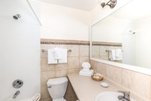 Silver Studio Bathroom